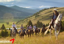 cuoi ngua equestrian