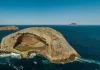 Đảo Skull Rock nổi tiếng bậc nhất xứ sở chuột túi