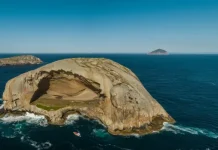 Đảo Skull Rock nổi tiếng bậc nhất xứ sở chuột túi