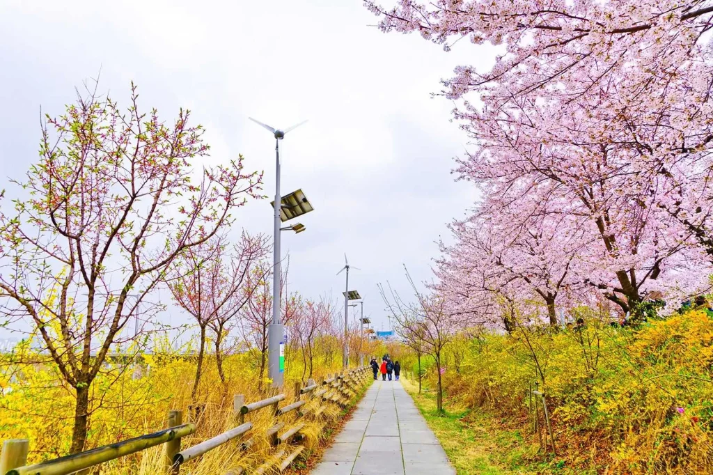 Công viên Yeouido Hangang