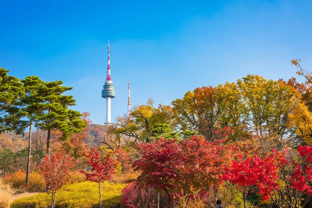 Công viên Namsan vào mùa thu