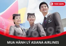 Cách mua thêm hành lý Asiana Airlines