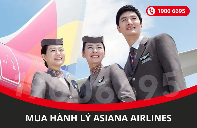 Cách mua thêm hành lý Asiana Airlines
