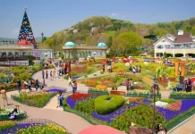 Ngày Văn hóa tại Hàn Quốc - Giảm giá vé vào khu nghỉ dưỡng Everland
