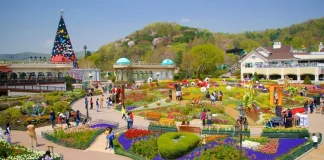 Ngày Văn hóa tại Hàn Quốc - Giảm giá vé vào khu nghỉ dưỡng Everland